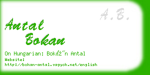 antal bokan business card